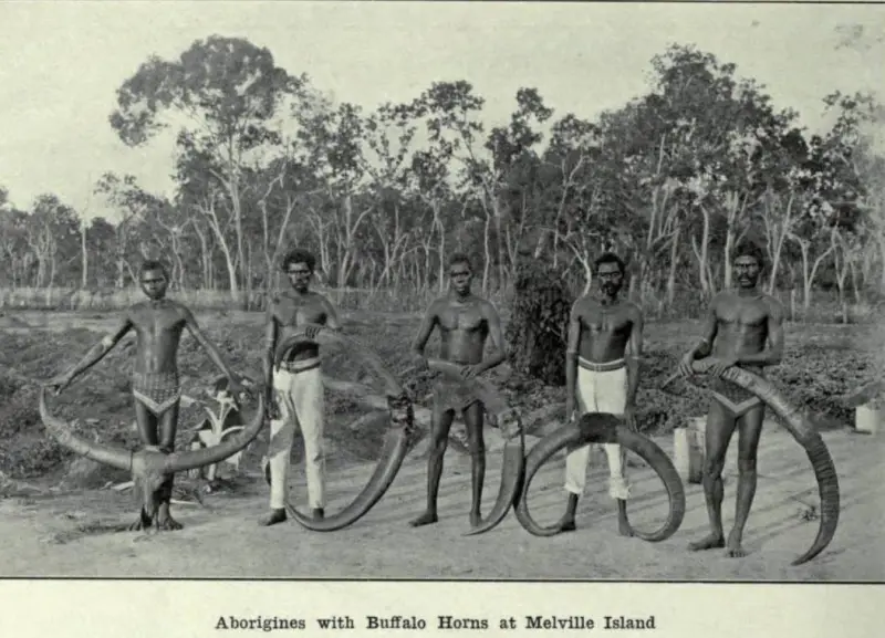 ABORIGINES