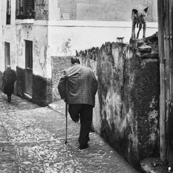 Calle