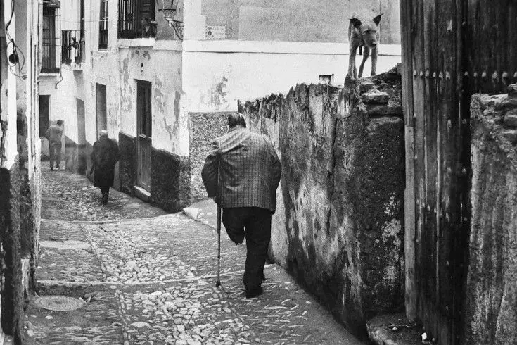 Calle Calle