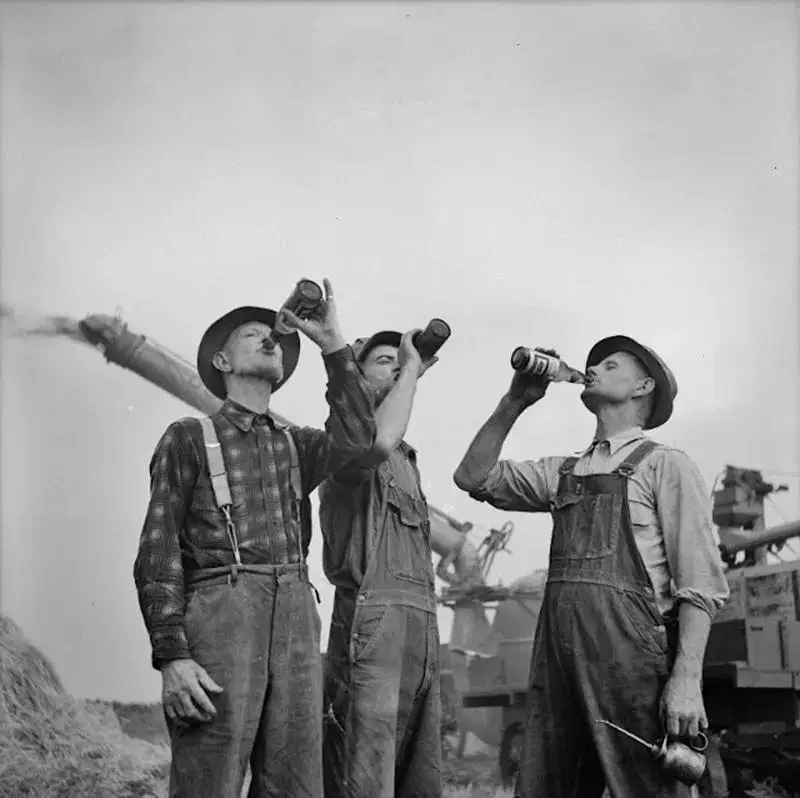 Farmers drinking beer during a hard day’s work