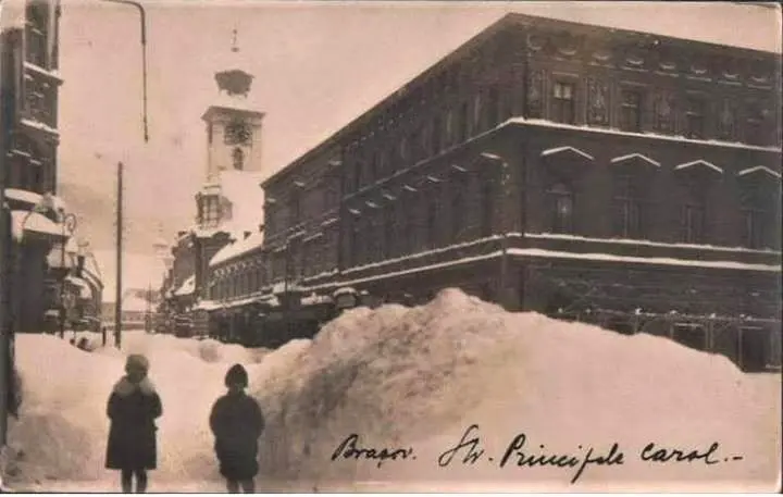 Urgia ierni - Invierno