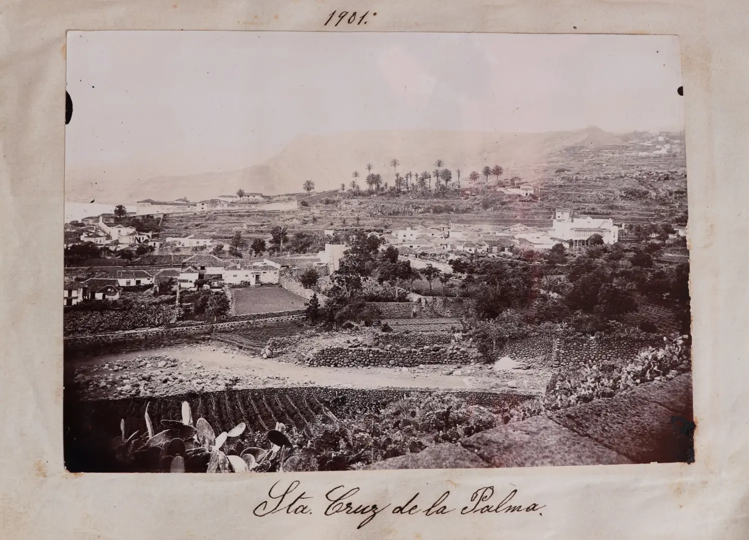 Panorámica desde La Encarnación. 