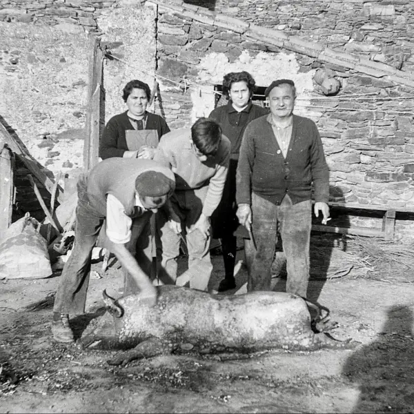 Familia en la matanza del cochino.