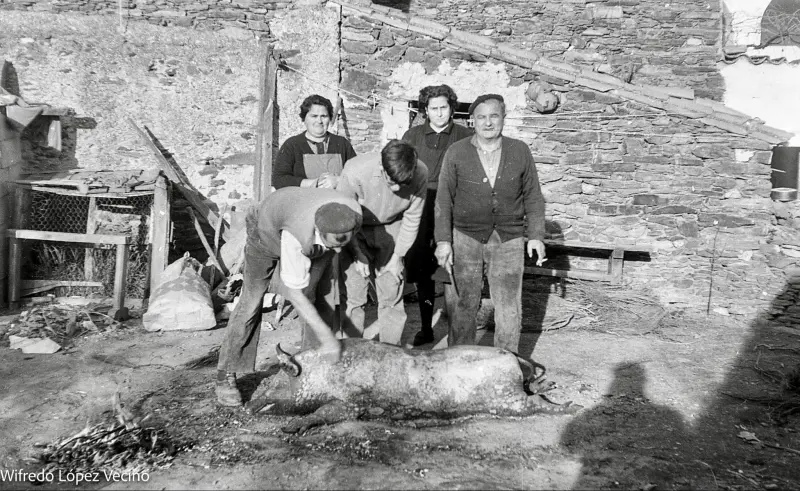 Familia en la matanza del cochino.