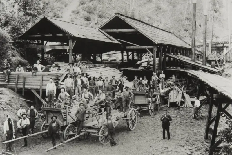 Berry's Sawmill at Freeze Out Creek
