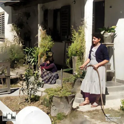 Viviendas del Plan de ayuda Social