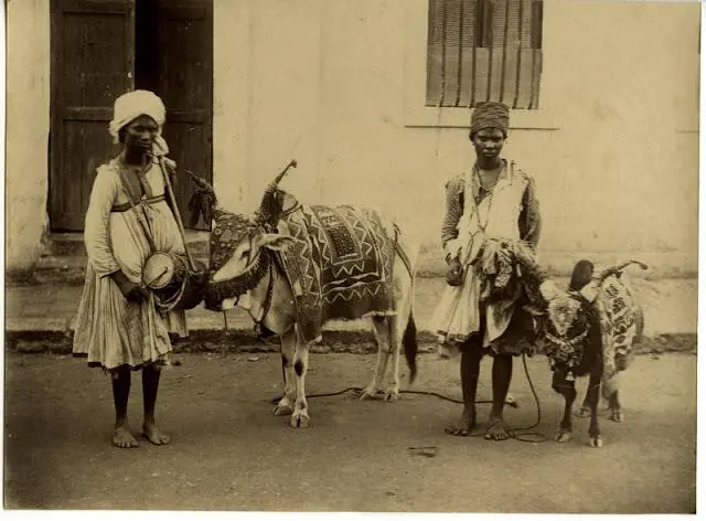 Two Male Entertainer with Decorated Cow and Goat 