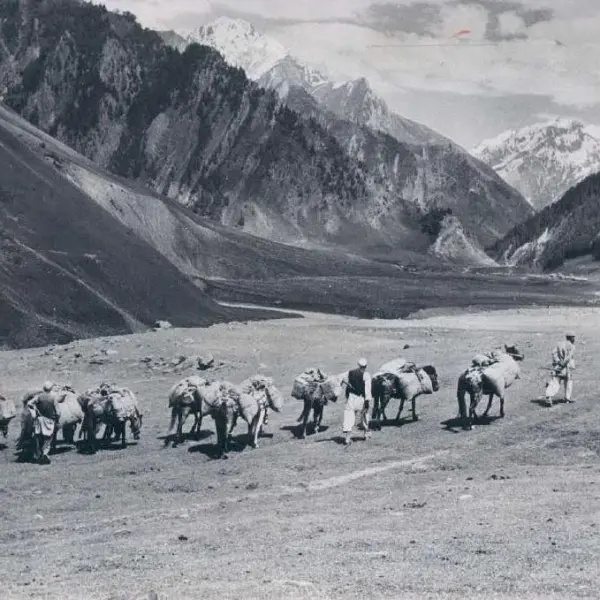 A caravan