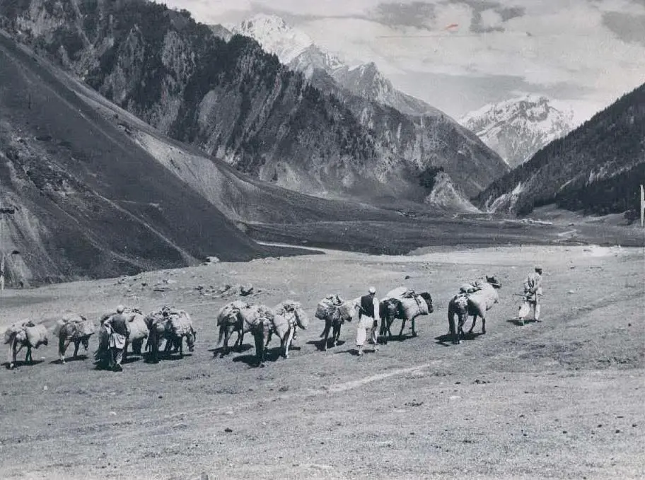 A caravan