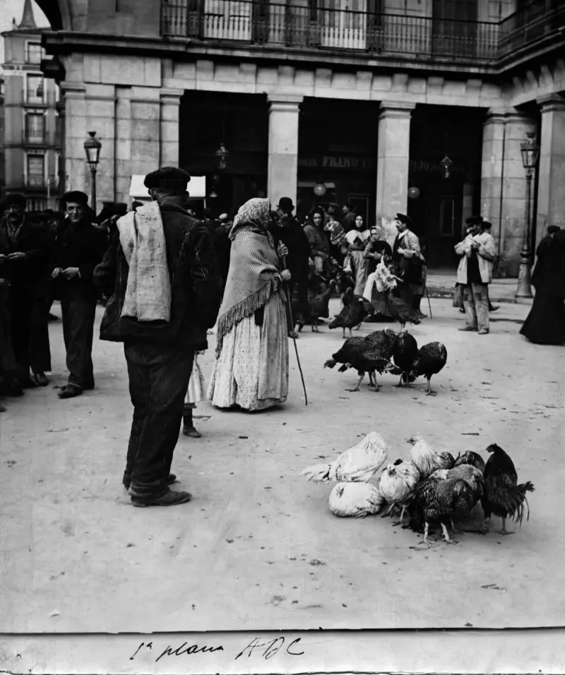 Vendedores de Pavos reunidos en la plaza Mayor