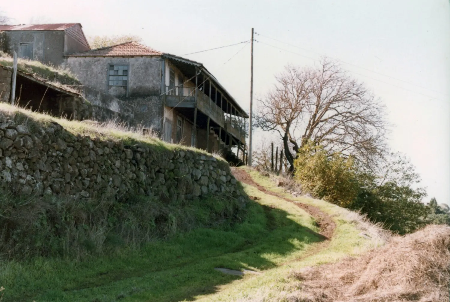 Hoya Grande - Garafía