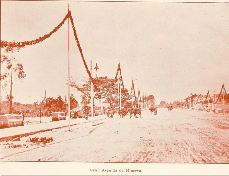Gran Avenida de Minerva