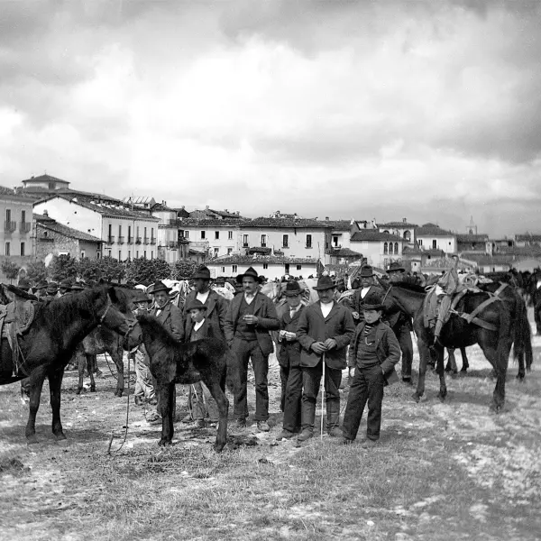 Mercado del caballo.