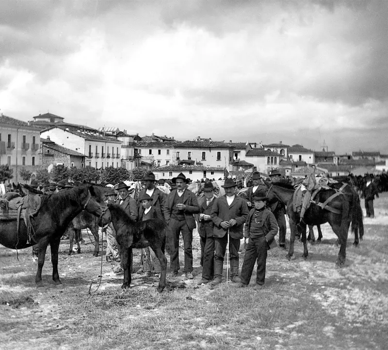 Mercado del caballo.