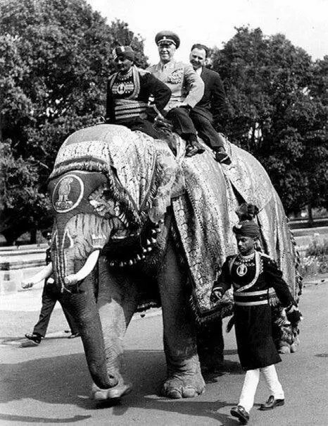 Marshal Zhukov rides an elephant during a diplomatic visit