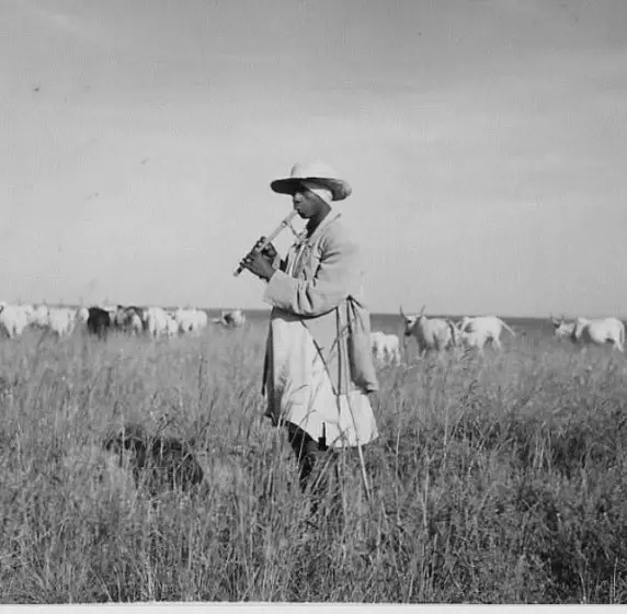Fulani herdsman Fulani herdsman