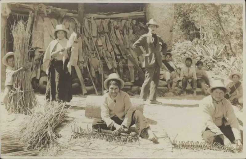 Petateros cajamarquinos