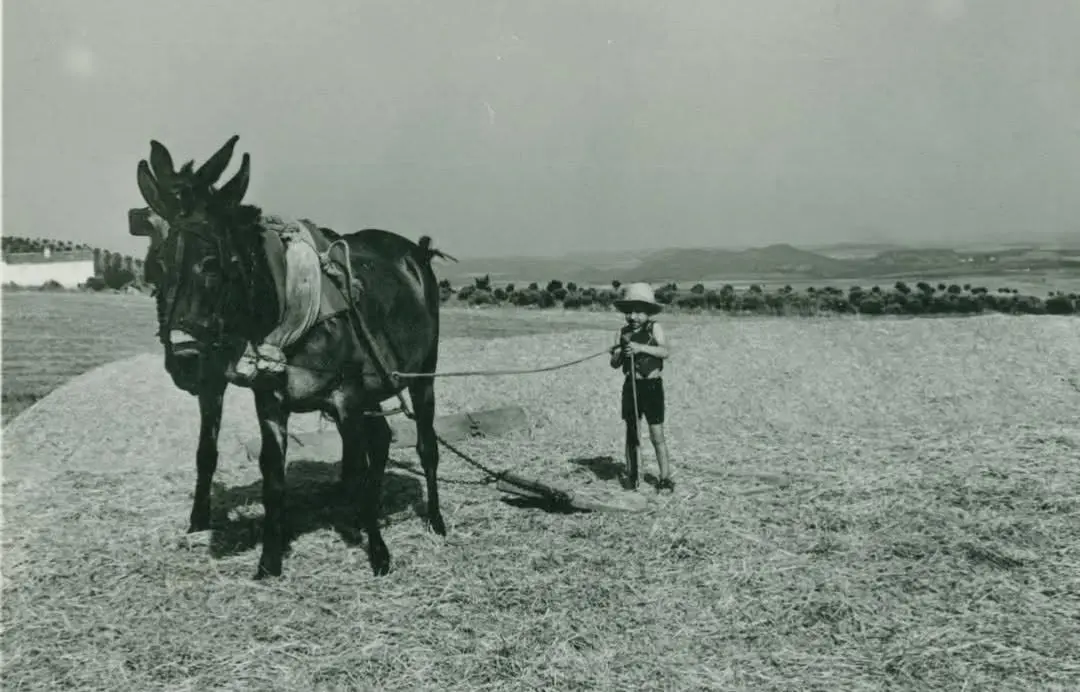 Niño trillando