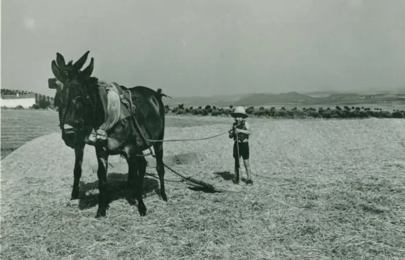 Niño trillando