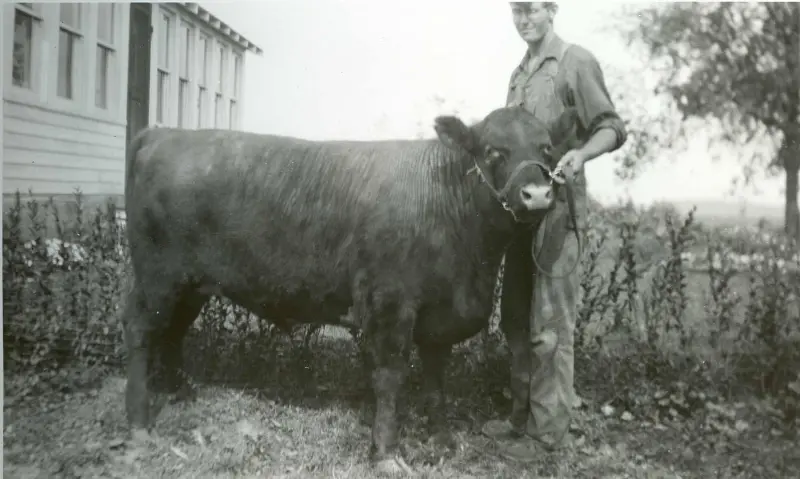 William Houle from the Centerville 4-H Club