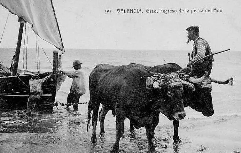 Playa del Cabanyal, regreso de la pesca del "bou"