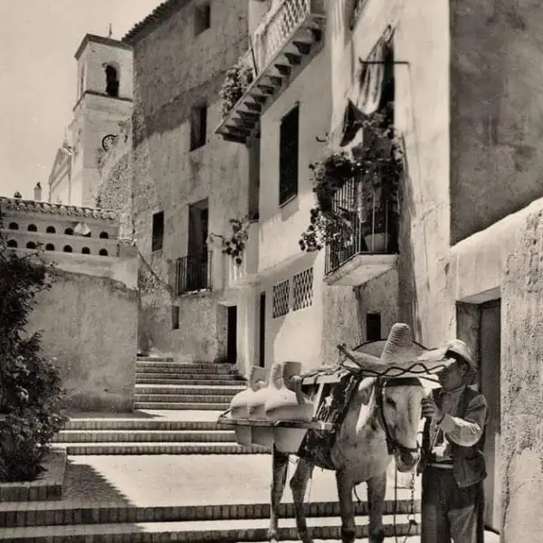 La Calle Los Gatos
