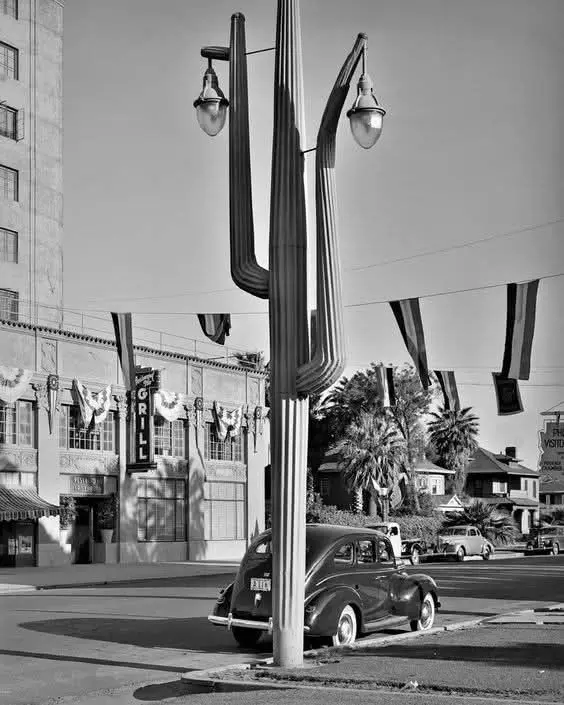 Seguro Cactus Streetlight