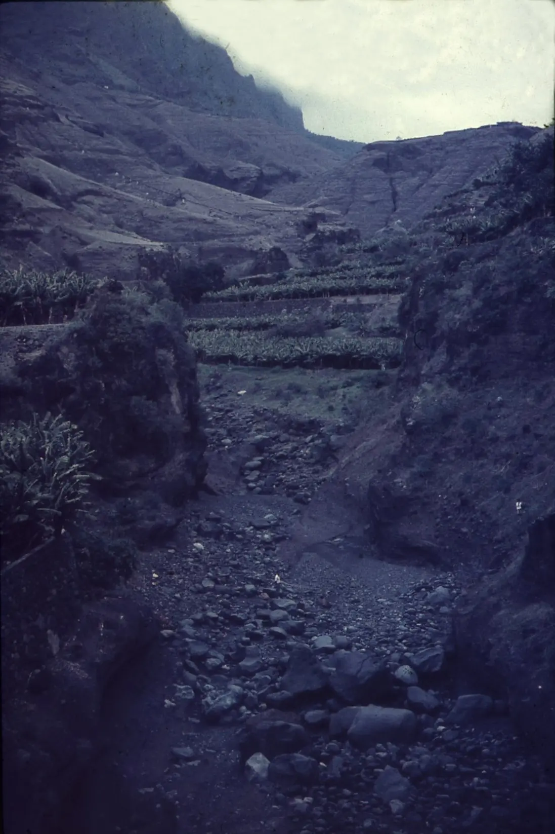 Barranco de Las Angustias 