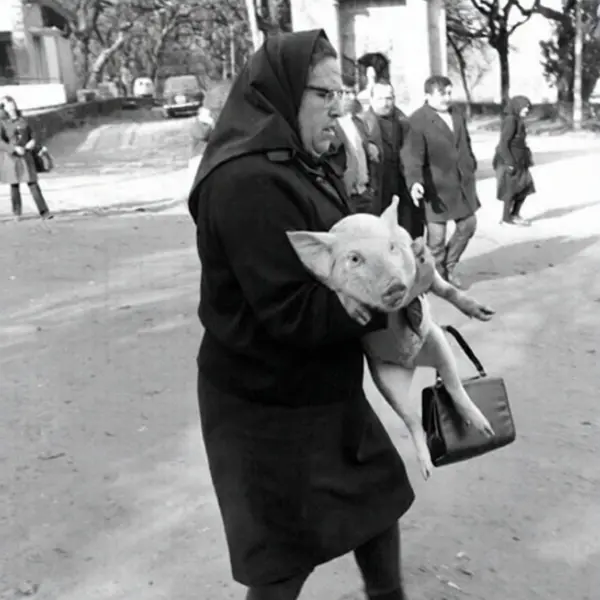 Una mujer con un cerdo en brazos