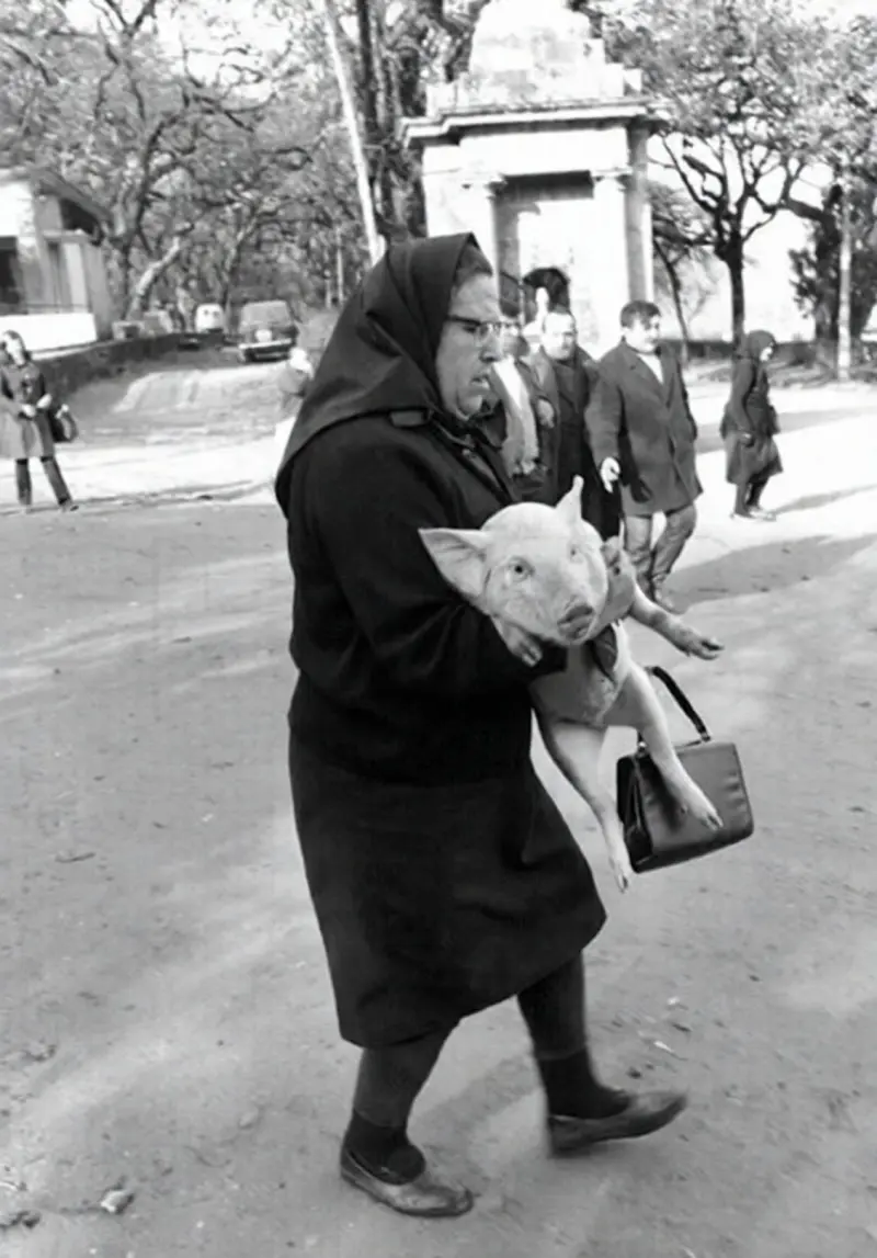 Una mujer con un cerdo en brazos