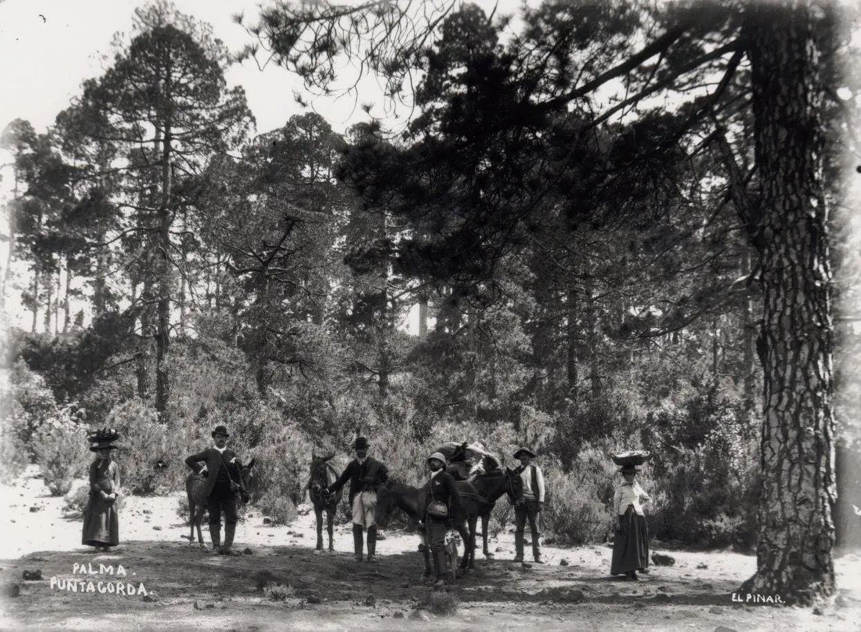 El Pinar - Puntagorda