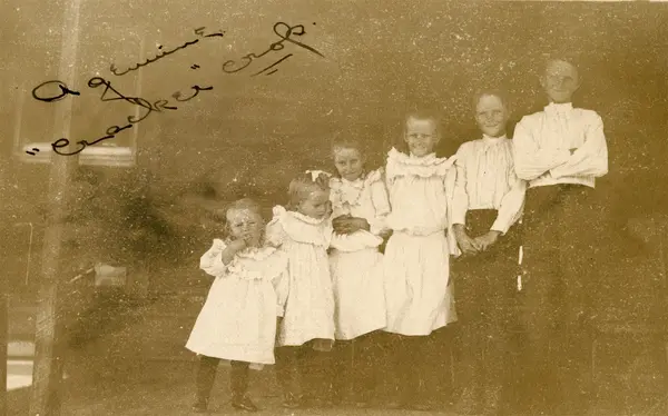 A genuine "Cracker" crop