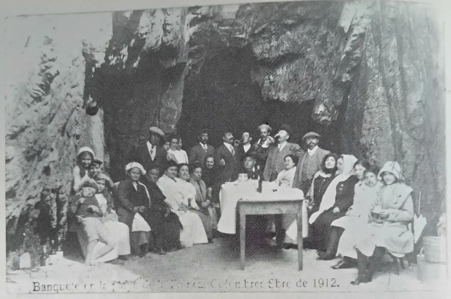 Celebrando la primavera