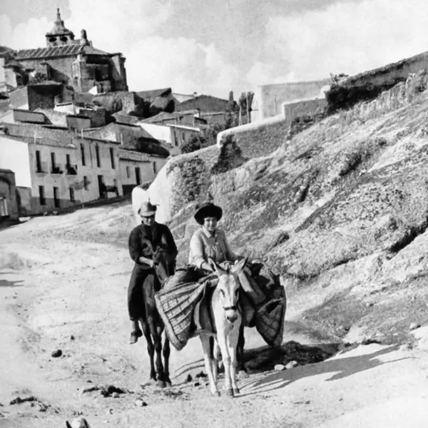 Camino del campo