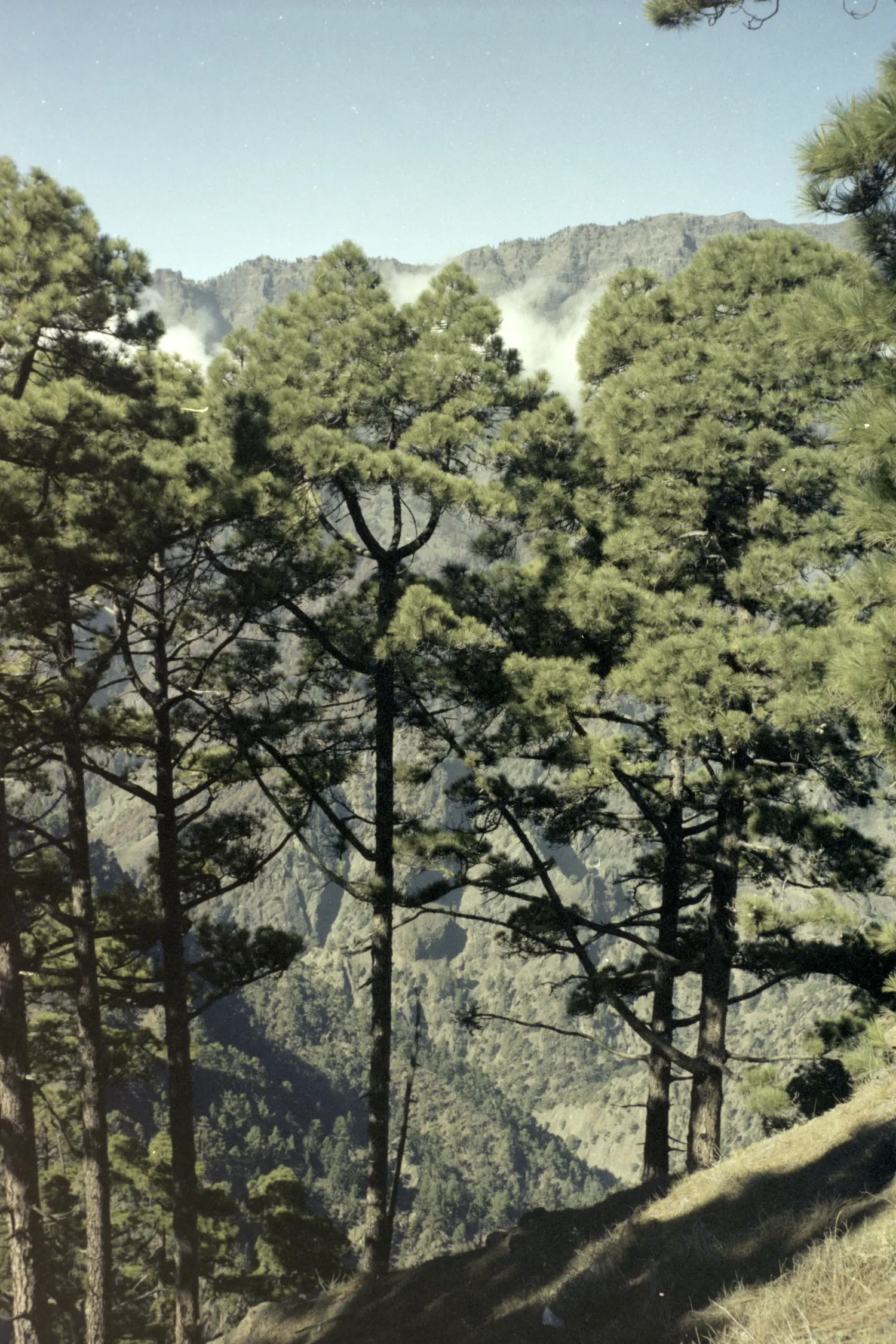 Parque Nacional Caldera de Taburiente