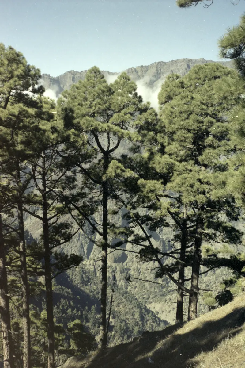 Parque Nacional Caldera de Taburiente