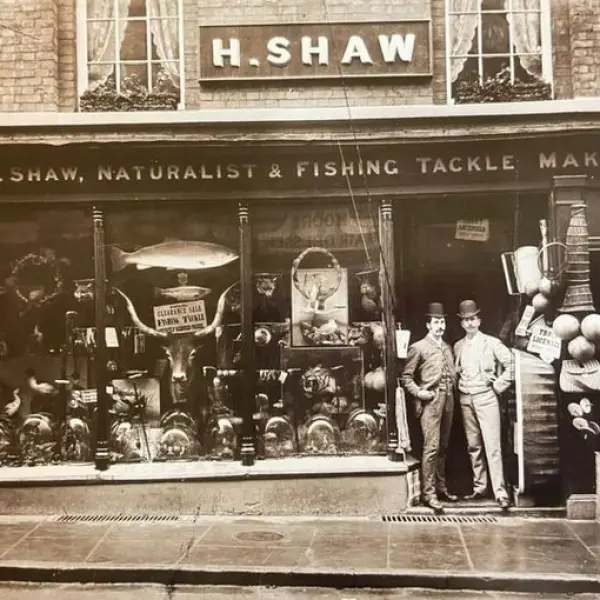 Henry Shaw’s Taxidermy Shop