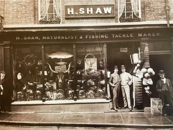 Henry Shaw’s Taxidermy Shop