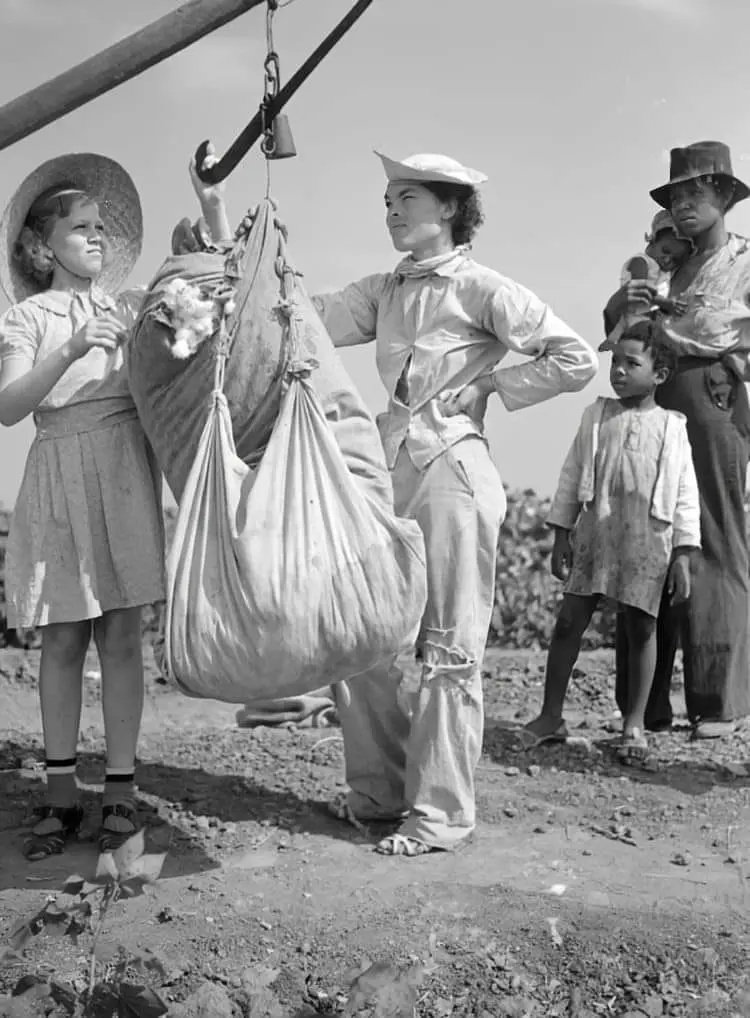 Cotton pickers watch as the plantation owner's 
