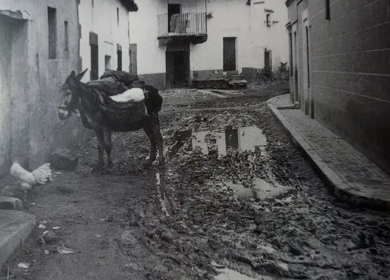 FLOOD - INUNDACIONES - RIADA