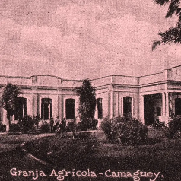  Granja Escuela Gaspar Betancourt 