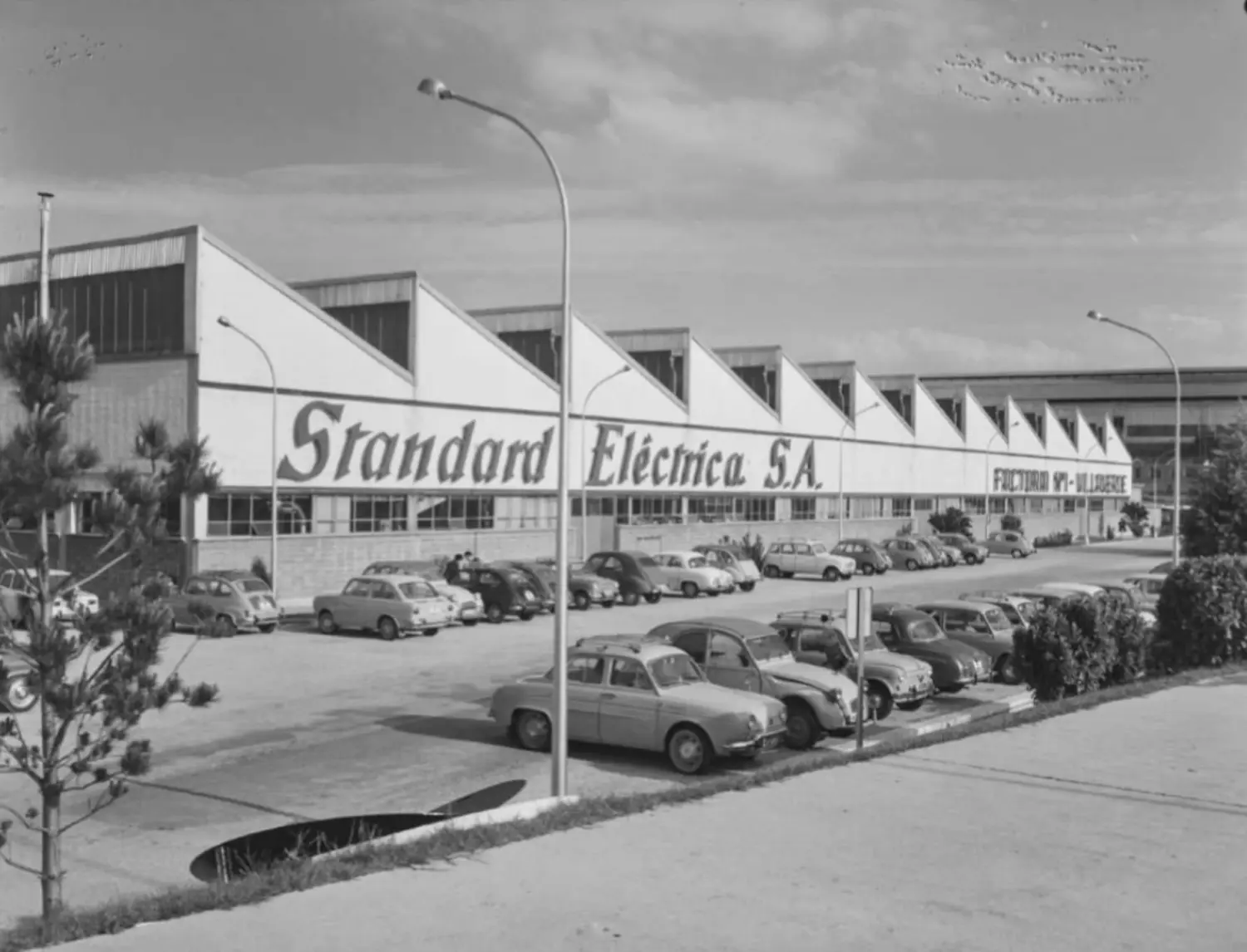  Standard Eléctrica S.A., 