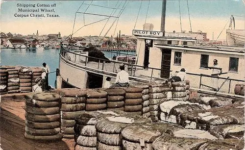 Shipping cotton off Municipal Wharf
