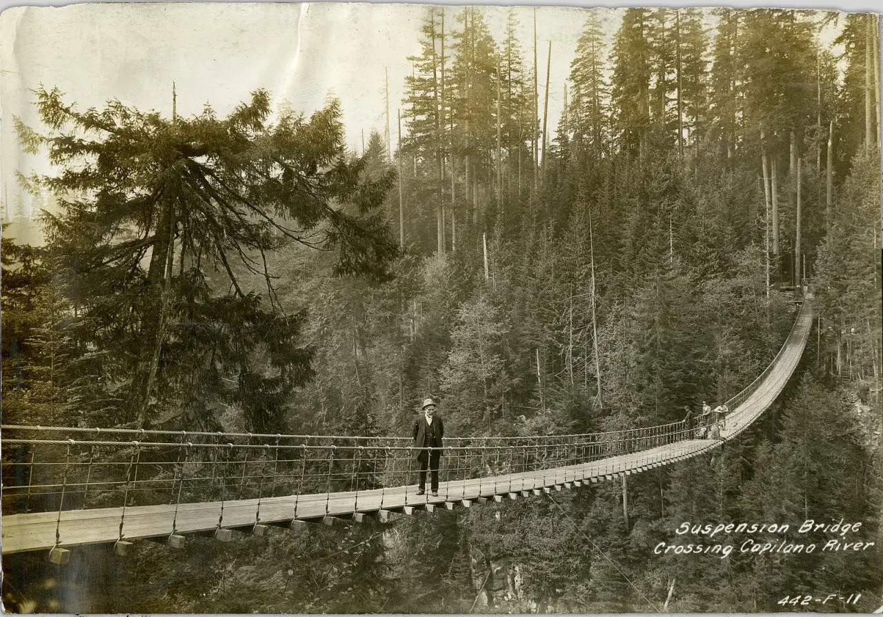 Suspension bridge