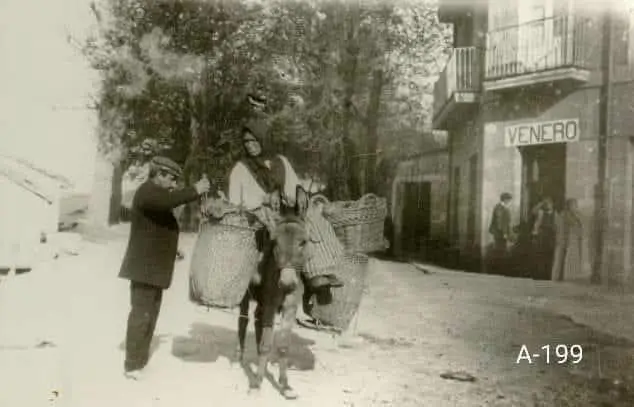 Burrera pasando el fielato