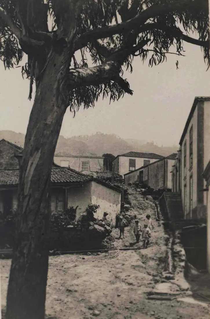 Calle Lomo de La Cancela - Barlovento