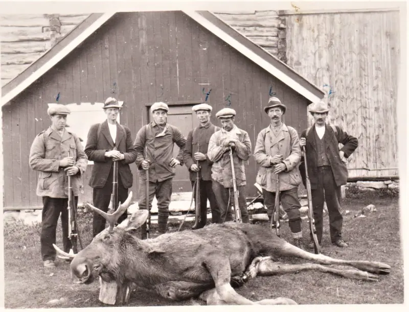 Dette er første elgen som ble felt i Dindalen