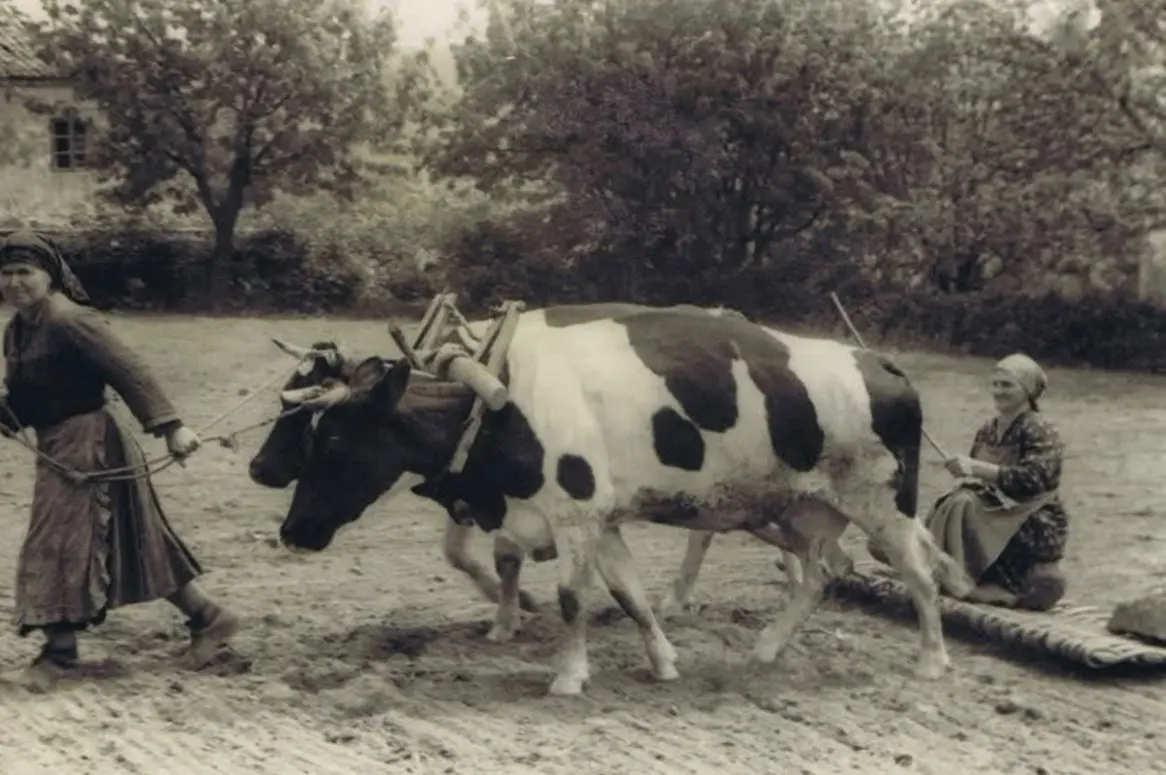 Galicia rural.