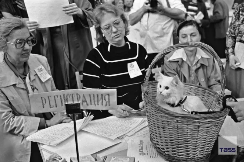 Cat show registration