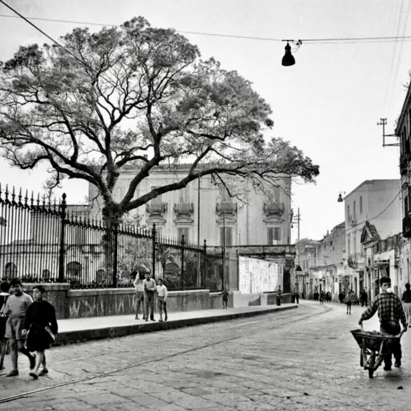 Niño con carretilla